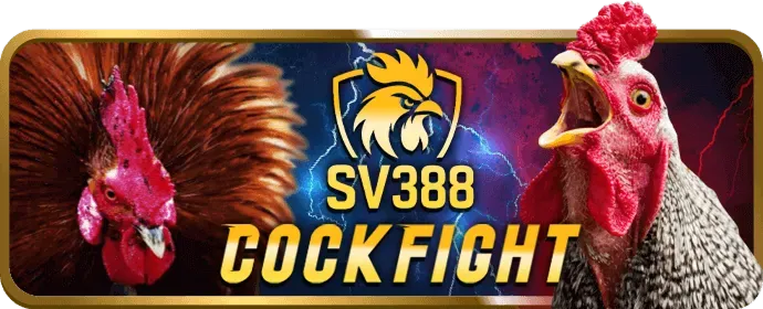 Hỗ Trợ Khách Hàng 24/7 SVV388